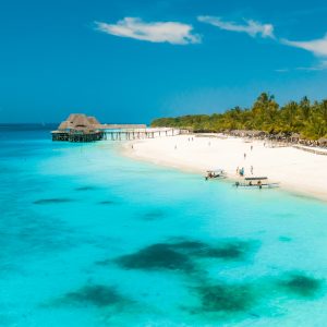 Explore the Wonders of Mnemba Island, Jozani Forest, Kuza Cave, Paje Beach, and The Rock Restaurant
